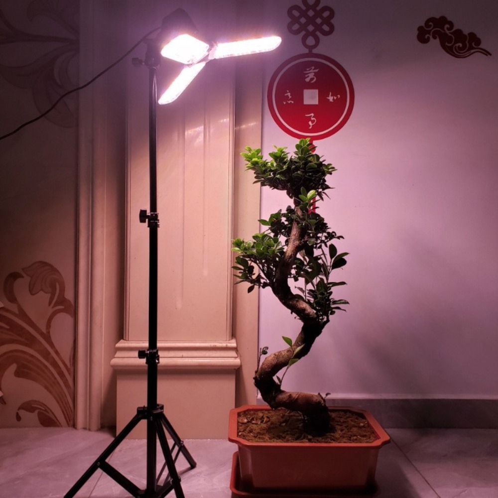 Support d'ampoule 2M, douille  - Photography Lighting Mount avis et prix