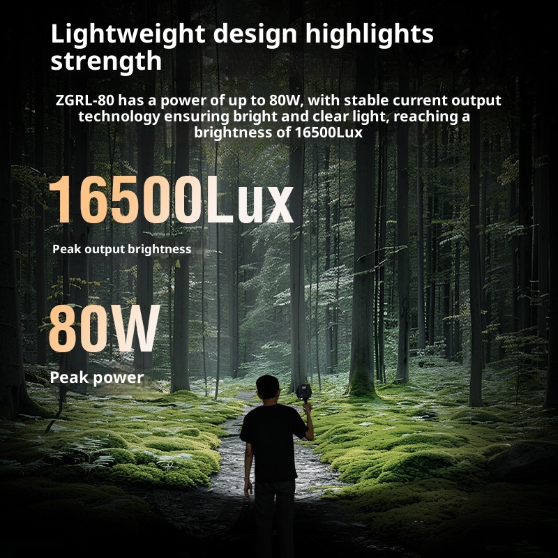 ZGRL80 80W COB LED lumière vid - Photography Lighting For Outdoors avis et prix
